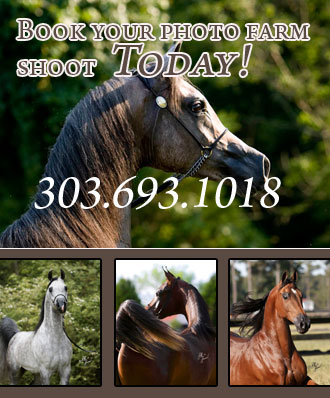 Reserve your farm shoot today