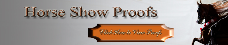 New Online Proofing System