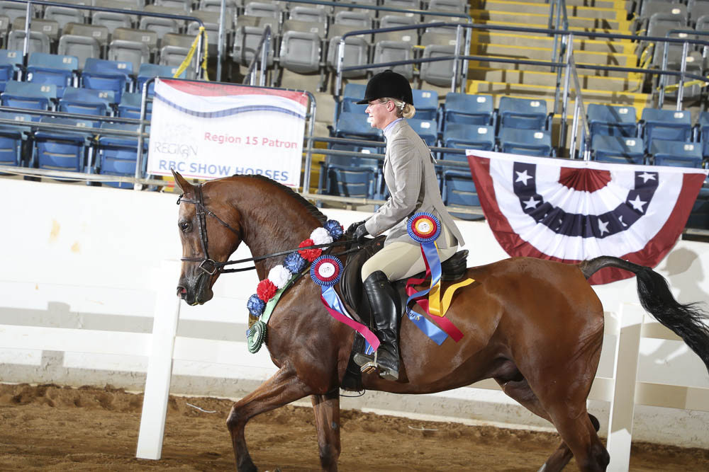 Horse Shows 2020 2023 Farm and Horse Shows 2020 Region 15