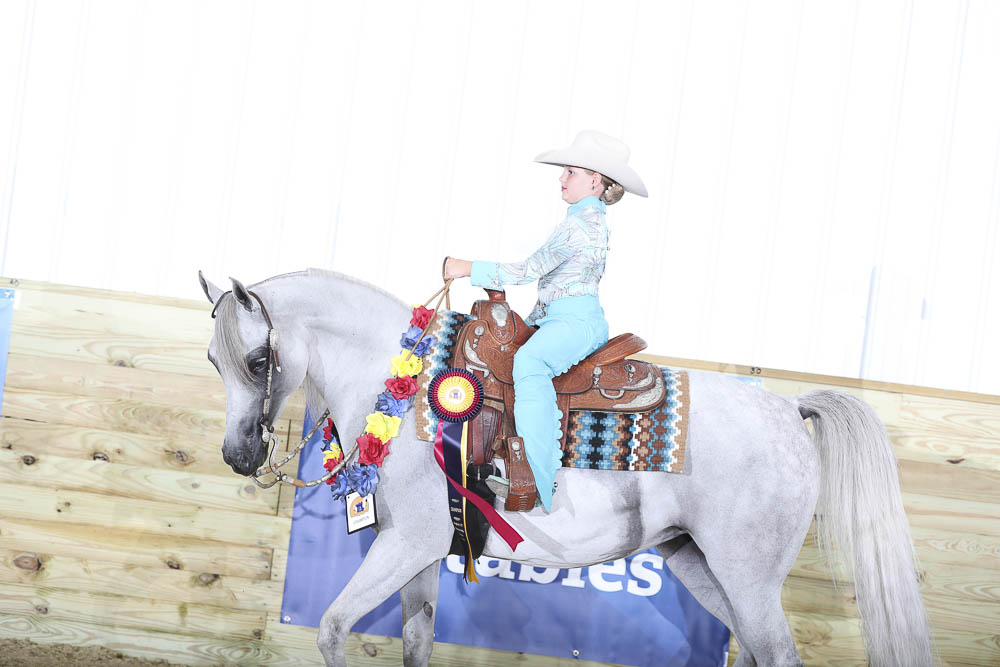 Horse Shows 2020 2024 Farm and Horse Shows 2020 Region 13