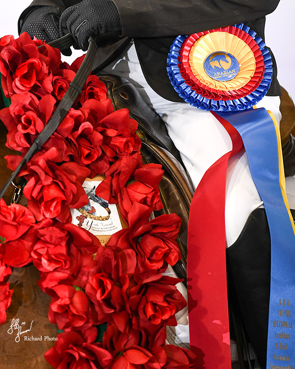 Horse Shows 2020 2024 Farm and Horse Shows 2023 AHA Youth and Mid