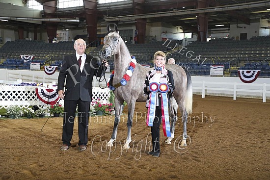 Geldings ATH