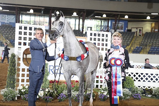 Mares 3 Yrs & Over