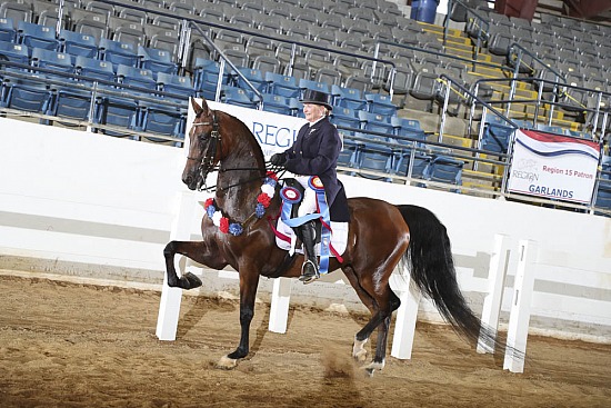 PB &HA Show Hack