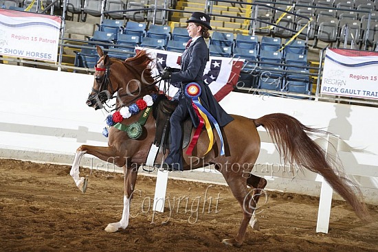 Jr Horse