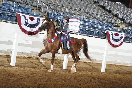 Walk Trot and Leadline