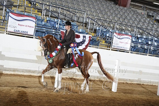 Jr Horse