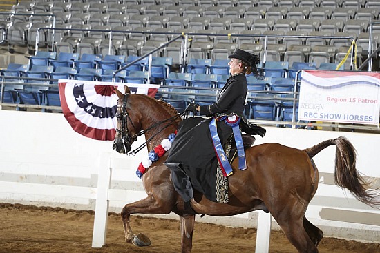 PB & HA Side Saddle