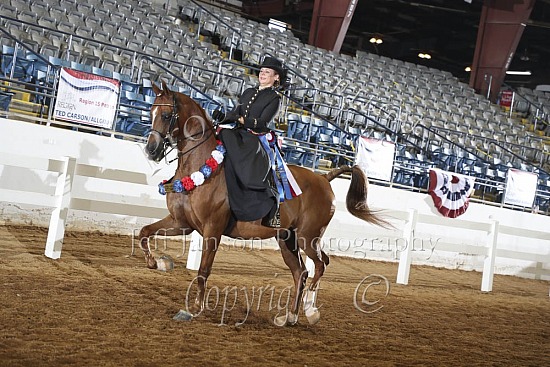HA Side Saddle English or Western
