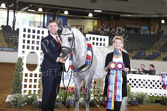 Performance Stallions