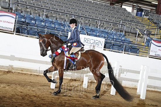 Jr Horse