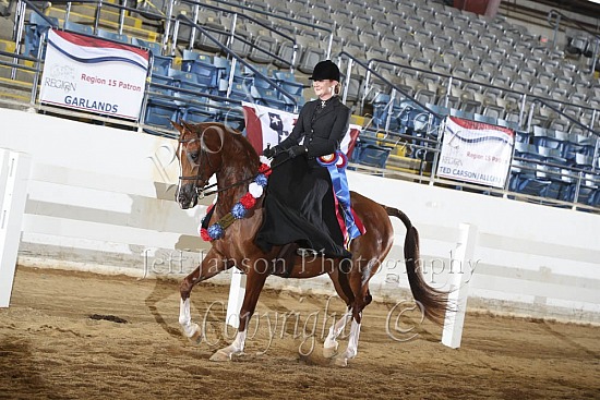 PB Side Saddle English