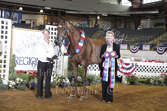 Performance Mares