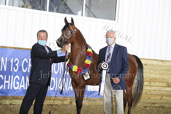 Fillies 2 Yrs Old