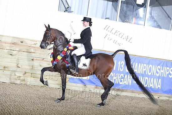 PB Show Hack JTR