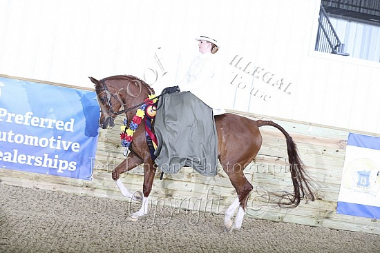 PB Side Saddle ATR