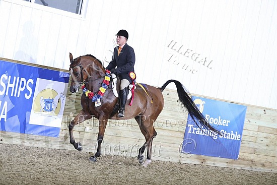 Jr Horse Limit Horse