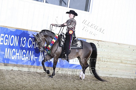 Jr Horse