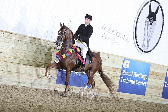 HA Show Hack ATR