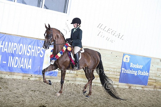 PB & HA Hunter Pleasure