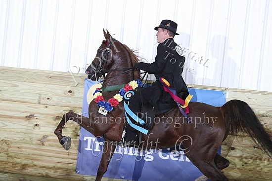Jr Horse