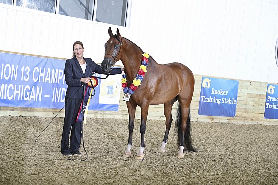 Geldings 