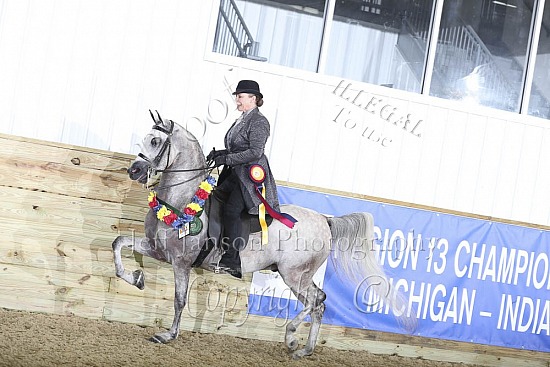 Jr Horse