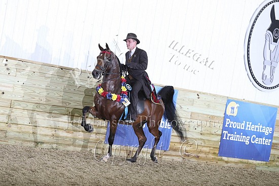 Jr Horse