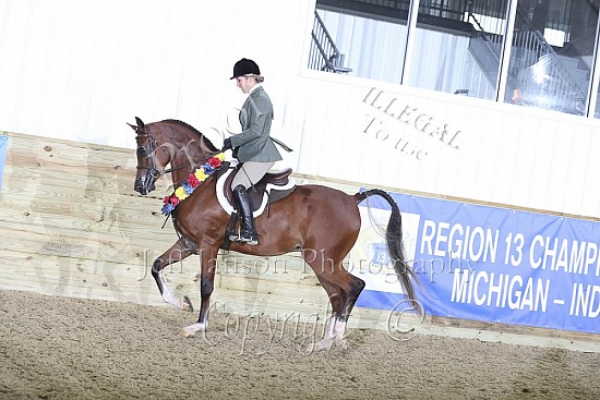 Jr Horse 