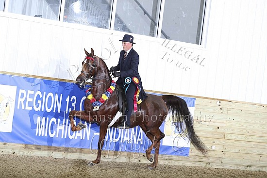 Jr Horse