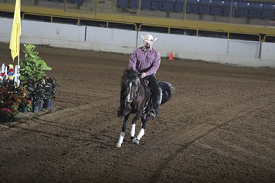 PB Reining Jr Horse