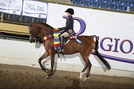 Hunt Seat 10 & Under
