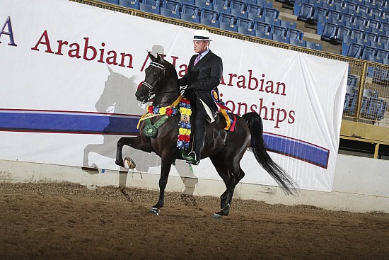 Jr Horse