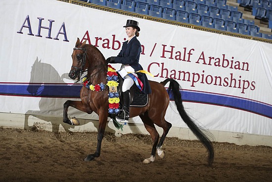 PB Show Hack AATR