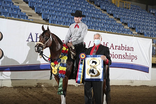 Jr Horse