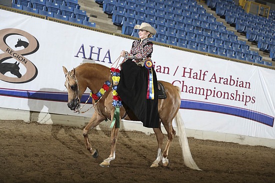 HA Western Side Saddle