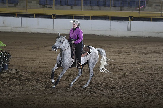 HA Reining AAOTR-Limited Non Pro