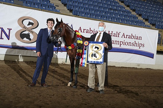 Stallions AOTH