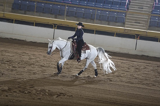 Reining Seat Eq 14-18