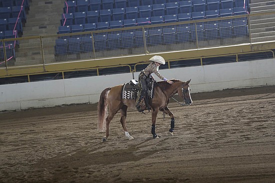 Reining Seat Eq 13 & Under
