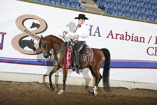 Jr Horse