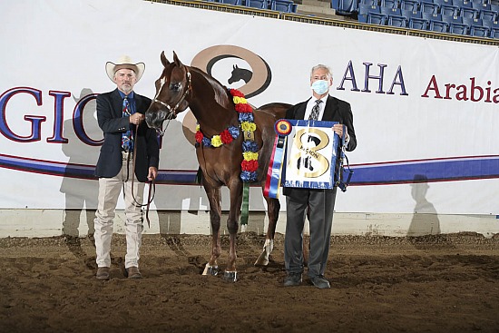 Performance Mares