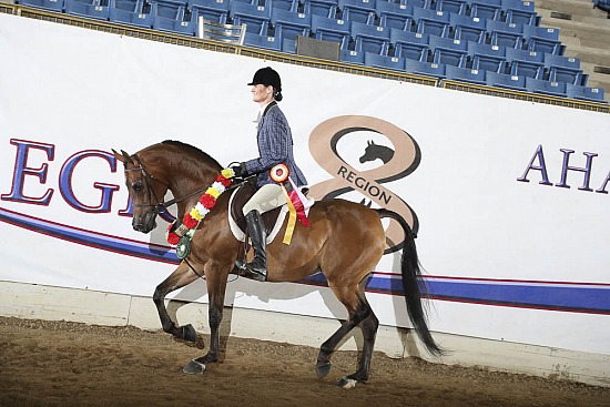 Jr Horse