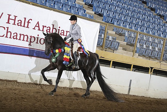 Jr Horse