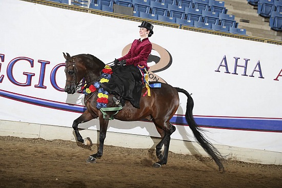 PB English-Hunt Side Saddle