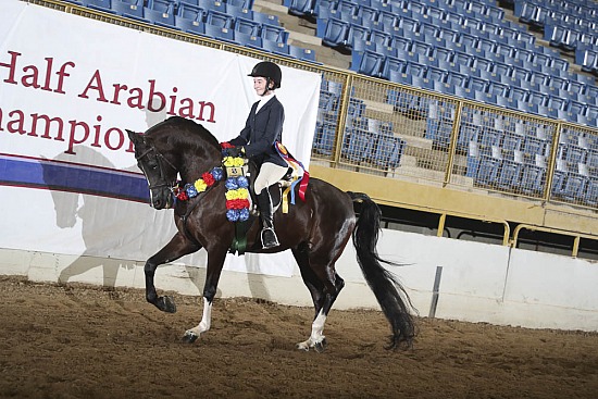 Hunt Seat 13 & Under
