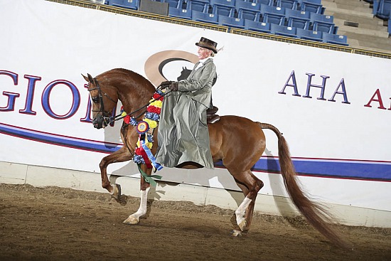HA English-Hunt Side Saddle