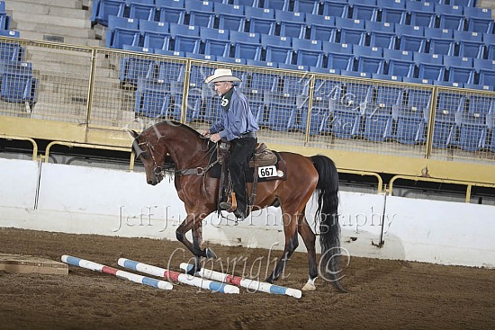 PB Trail Jr Horse