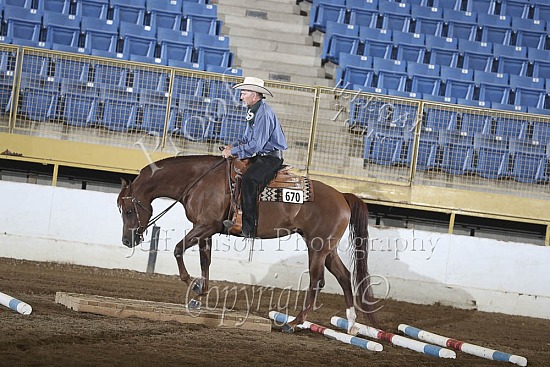HA Trail Jr Horse