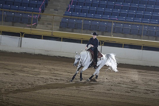 PB & HA Reining Horse